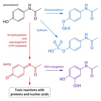 Hydrocodone - Addiction: Substance Abuse.