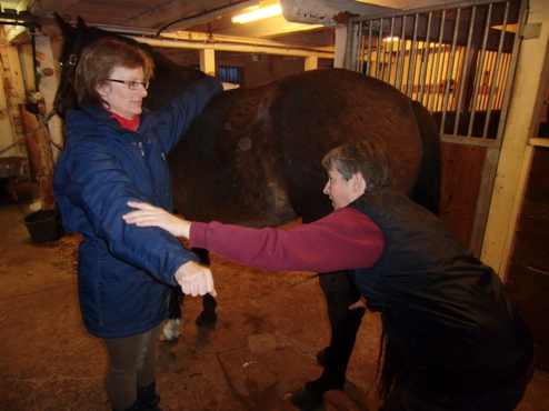 Fig. 3. Applied kinesiology using a surrogate person.