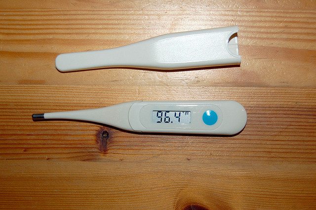temperature thermometer wilson's