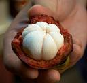 Garcinia cambogia extract (GCE) comes from a tropical fruit from India and Southeast Asia. The active ingredient, hydroxycitric acid (HCA), is said to block fat and suppress the appetite.