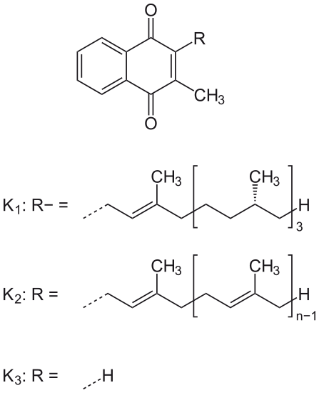 vitamin K molecules