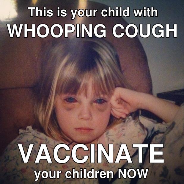 taking a look at a whooping cough Pertussis, more often referred to as whooping cough, is a respiratory infection caused by the bordetella parapertussis species of bacteria as these bacteria reside in the nose, mouth, and throat of the infected person, this highly contagious disease is generally transmitted from one person to another while coughing or sneezing. taking a look at a whooping cough Pertussis, more often referred to as whooping cough, is a respiratory infection caused by the bordetella parapertussis species of bacteria as these bacteria reside in the nose, mouth, and throat of the infected person, this highly contagious disease is generally transmitted from one person to another while coughing or sneezing.